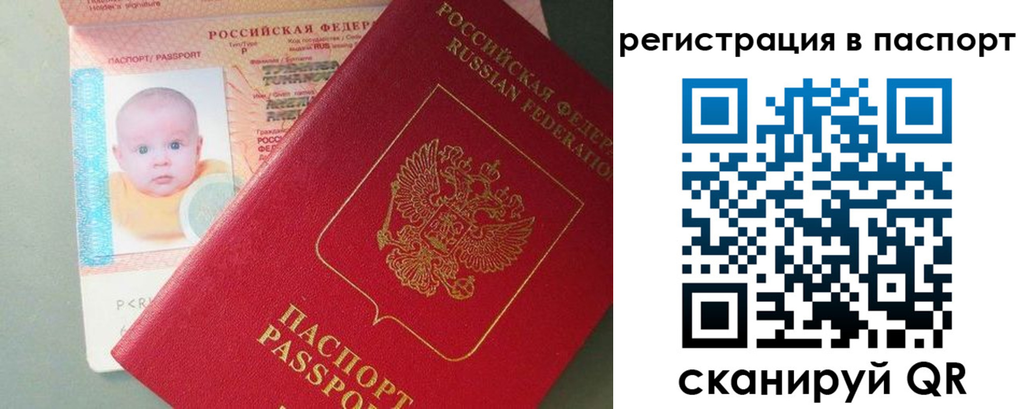 прописка для военкомата в Алексеевке